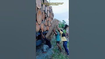 Traditional Log Loading Lives On #wood #woodworking #work