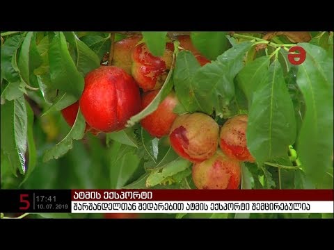 შარშანდელთან შედარებით ატმის ექსპორტი შემცირებულია