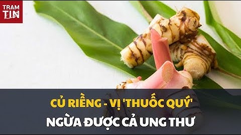CỦ RIỀNG - VỊ 