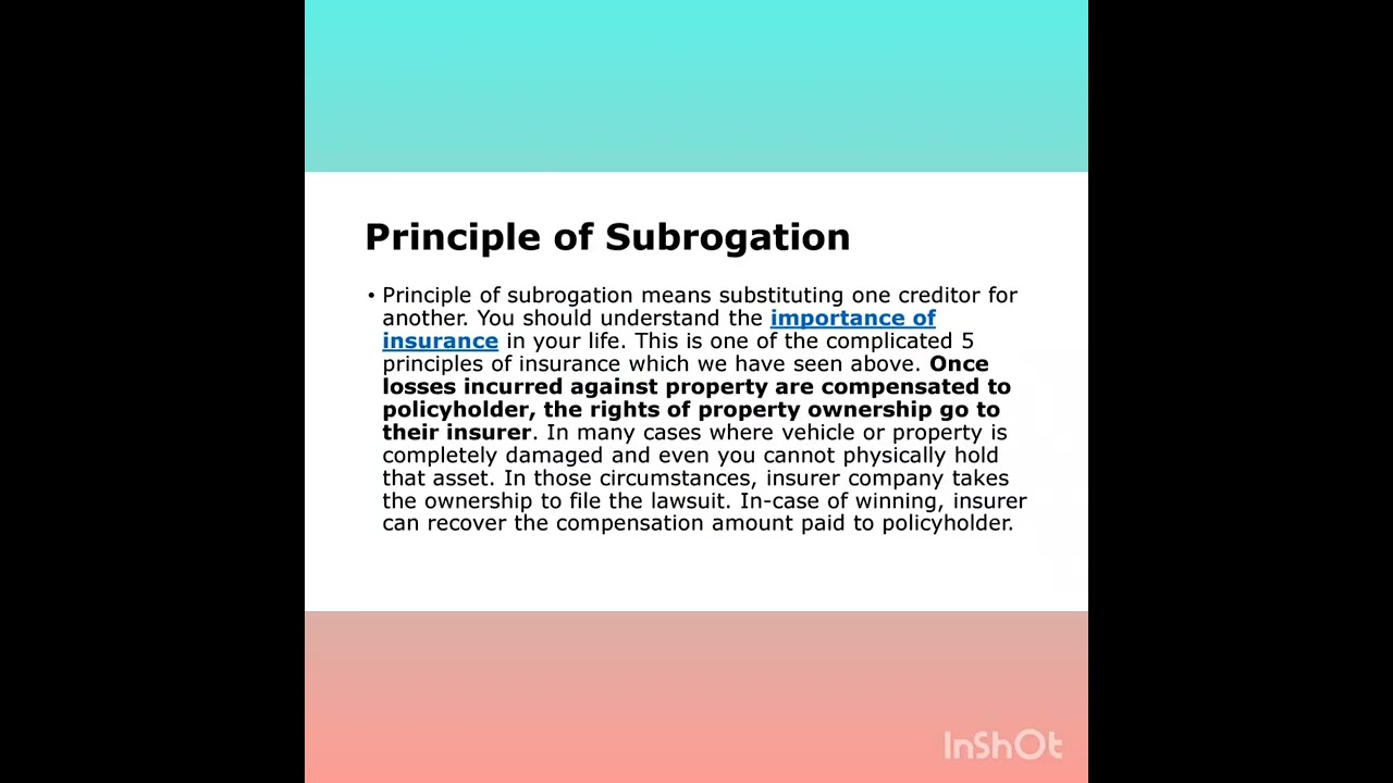 basic insurance YouTube