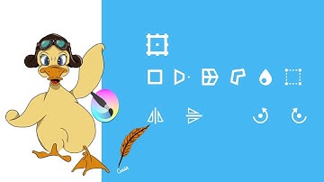 KRITA 4.4.2 MESH MODE (diepgaande tutorial uit 2021 in de transformatietool)