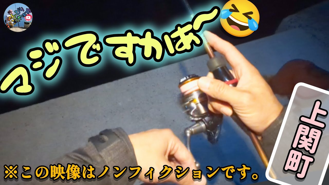 2月初旬釣行🎣アジを釣りに行くなら今だ☝️アジを求めて上関に行った結果がコチラです📖