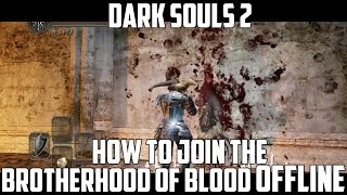 How to join Brotherhood of Blood OFFLINE - Dark Souls 2
