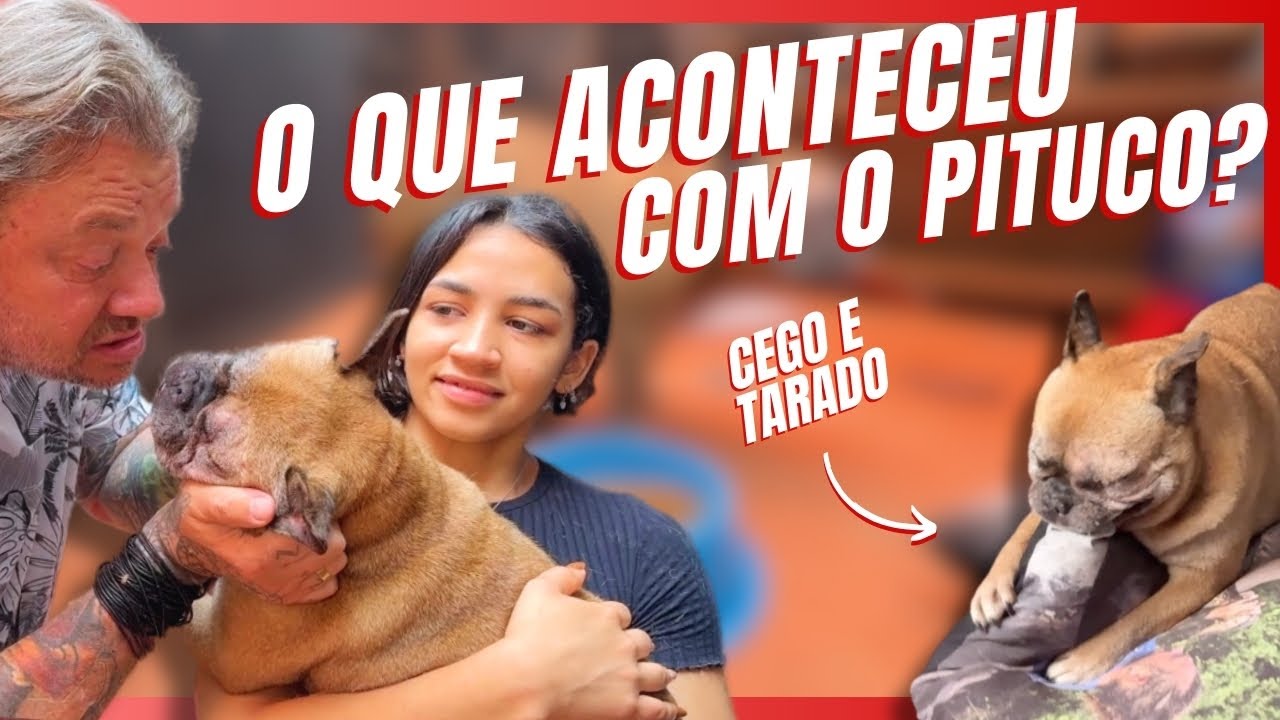 OS CUIDADOS ESPECIAIS COM O PITUCO! | A CASA DOS BICHOS