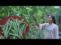 Have you ever eaten this vegetable at your place? / Cooking free and fresh vegetable around home