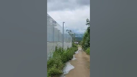 500m2 giá giảm còn 2,1 tỉ Xã Xuân Thọ, Tp Đà Lạt p01. 0962004900 #shorts