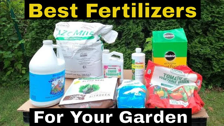 Best Fertilizers for Vegetables (My Top Fertilizers for Vegetables)