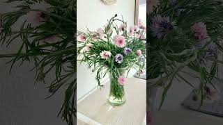 Flower arrangement from backyard flowers - bachelor’s button