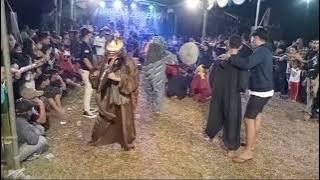 Kewan Kewanan Rampak Macan Mahesa Loreng