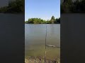 рыбалка на пруду