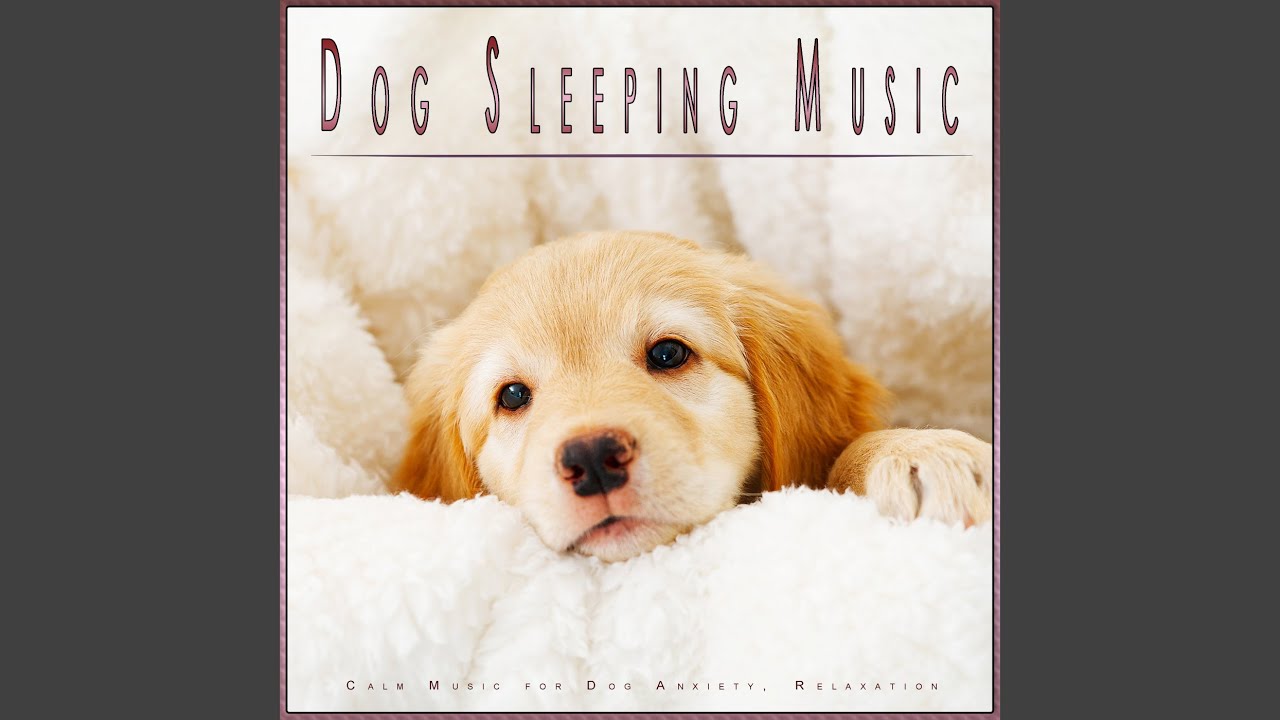 Dog Sleeping Music YouTube Music