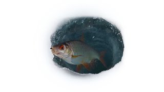 Ловля плотвы зимой