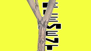 How do I check if an element is hidden in jQuery?