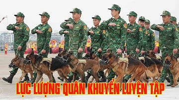 Lực lượng quân khuyển tích cực luyện tập phục vụ Triển lãm Quốc phòng Quốc tế Việt Nam 2024