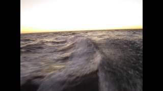 Downwind Run at 17 knots average during the Tour of Portugal regatta