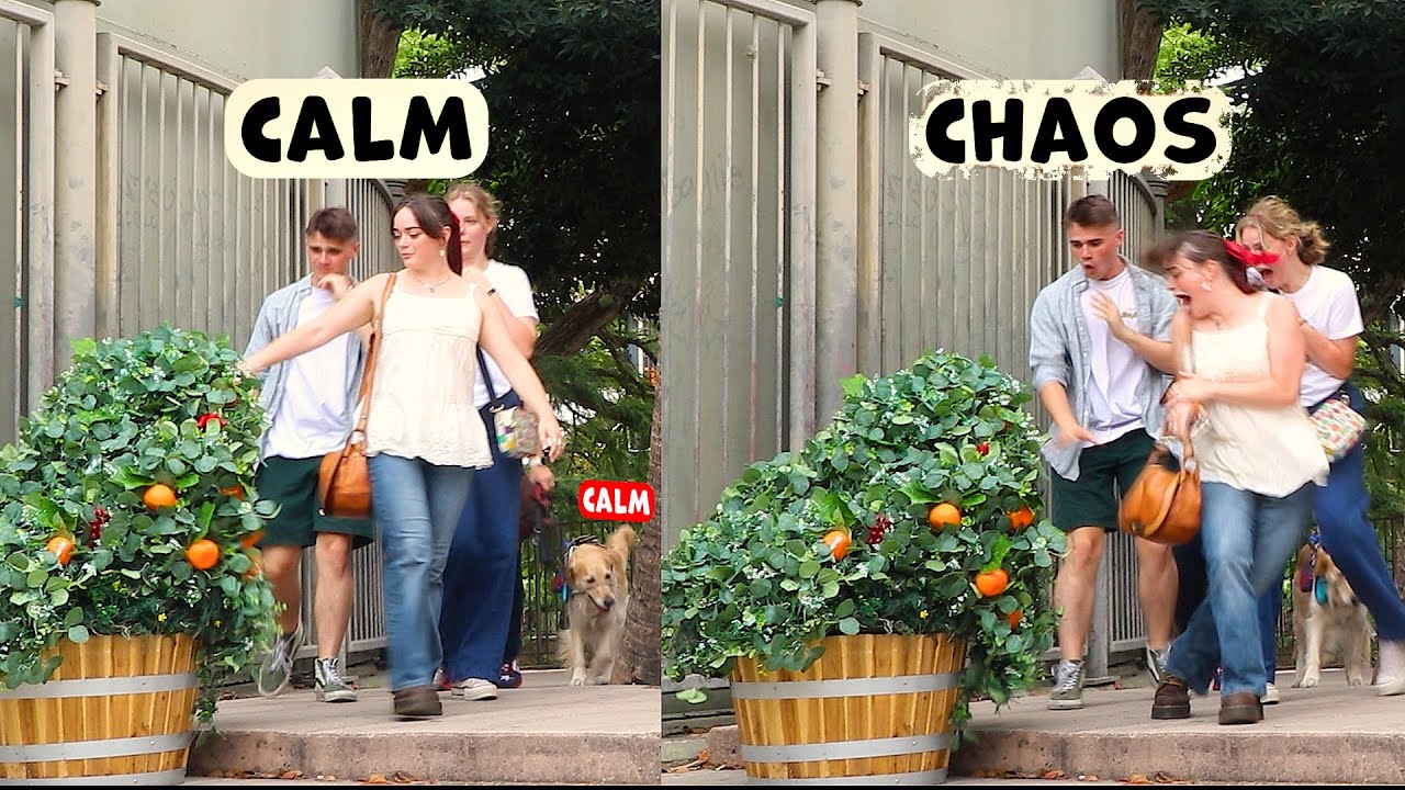 Bushman Prank: Well that Escalated QUICKLY..