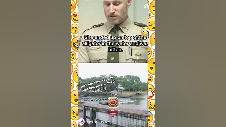 Woman Records Alligator And Posts On IG,, Moments Later Police Report She was Attacked #savvclips