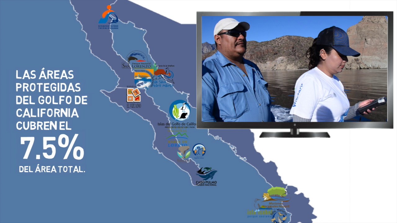 Regulaciones de Pesca en ANP 2017 YouTube