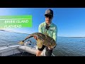 Bribie Island | Moreton Bay | Flathead