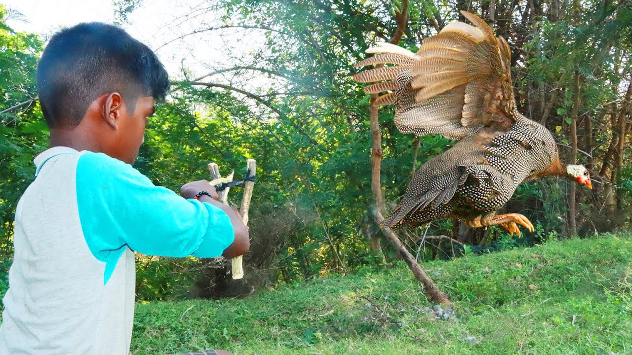Primitive Technology: Village Land Catch and Cooking Guinea Fowl - Eating delicious | Hunter Cooking