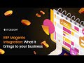 Enterprise Resource Planning (ERP) Magento Integration: What It Brings To Your Business