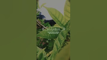 ربنا إنك من تدخل النار فقد أخزيته [آل عمران: ١٩٢_١٩٣] القارئ #محمد_اللحيدان #قران_كريم