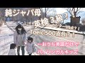 母の英語力こんなでも子供はバイリンガルになります