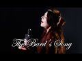 Blind Guardian - The Bard's Song (Alina Lesnik & Andrew Watson Cover)