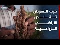 حرب السودان تقلّص الأراضي الزراعية في دارفور وتتسبب في ركود الأسواق