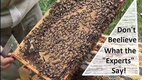 First Hive Inspection 1 Week After Installing NUC.