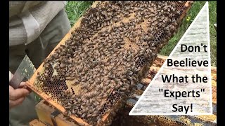 First Hive Inspection 1 Week After Installing NUC.