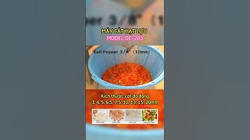 Máy cắt hạt lựu DC-203 không thể thiếu trong ngành chế biến rau củ quả đông lạnh | 0902.410.600