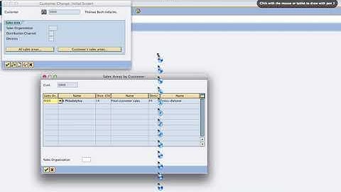 9   Not able to find Sales view of the Customer Master