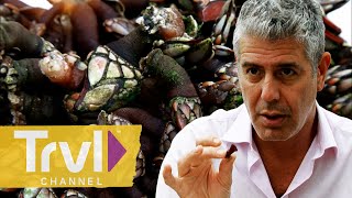 Rare Barnacles and Seafood Stews in Ecuador | Anthony Bourdain: No Reservations | Travel Channel