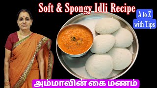 பஞ்சு போன்ற இட்லி செய்வதற்கு மாவு இப்படி அரைத்து பாருங்க | Soft & Sponge Idli | Idly Recipe in Tamil