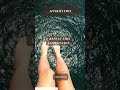 You Are Not Alone Awakening Spirituality Consciousness Meditation You Are Not Alone Awakening Spirituality Consciousness Meditation