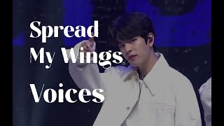 210220 Stray Kids 1ST #LoveSTAY 'SKZ-X' Spread My Wings   Voices