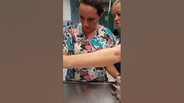 Skill 48 rat oral dose