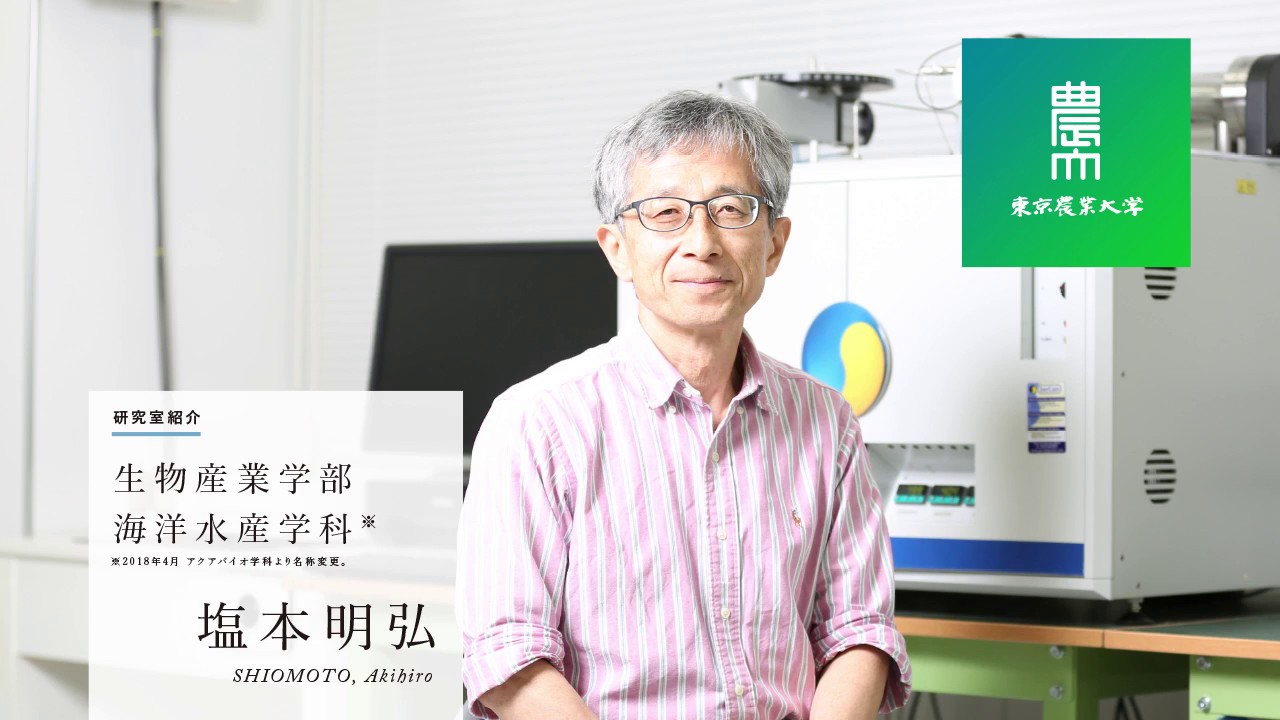 生物産業学部 海洋水産学科 研究紹介 YouTube