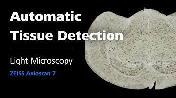 Automatic Tissue Detection on Axioscan 7 | Light Microscopy | ZMCC Live Demo | Episode 3