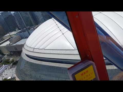 ♪東京の上空でサザン歌ってみた♪【勝手にシンドバッド】（東京ドームシティ・カラオケ観覧車）#サザンオールスターズ #桑田佳祐