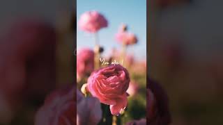 The Air I Breathe  Jerry K