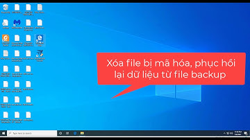 Chống mã hóa dữ liệu bằng BAssist