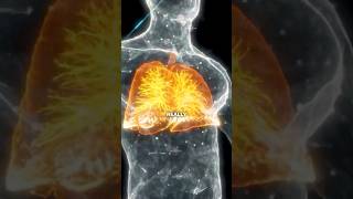 Can breathing techniques help asthma? 🤧