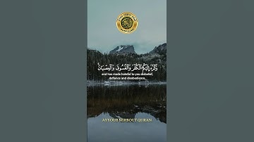 سورة الحجرات الآية 6-8 تلاوة شيخ الدوسري #اكسبلور