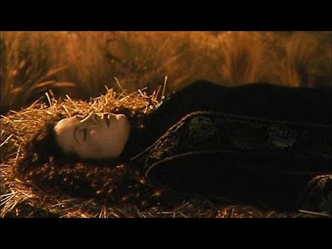 2017 წელი  #