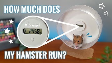 Niteangel Wheel Pedometer Review + Unboxing