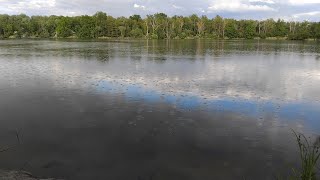 Evening session targeting eel in Brandenburg / Thanks to the catfish / Fishing 2026