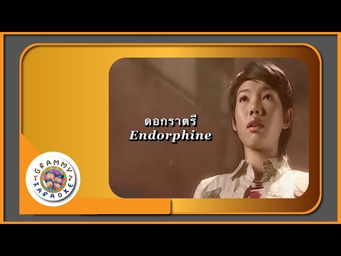 คาราโอเกะ ดอกราตรี - Endorphine