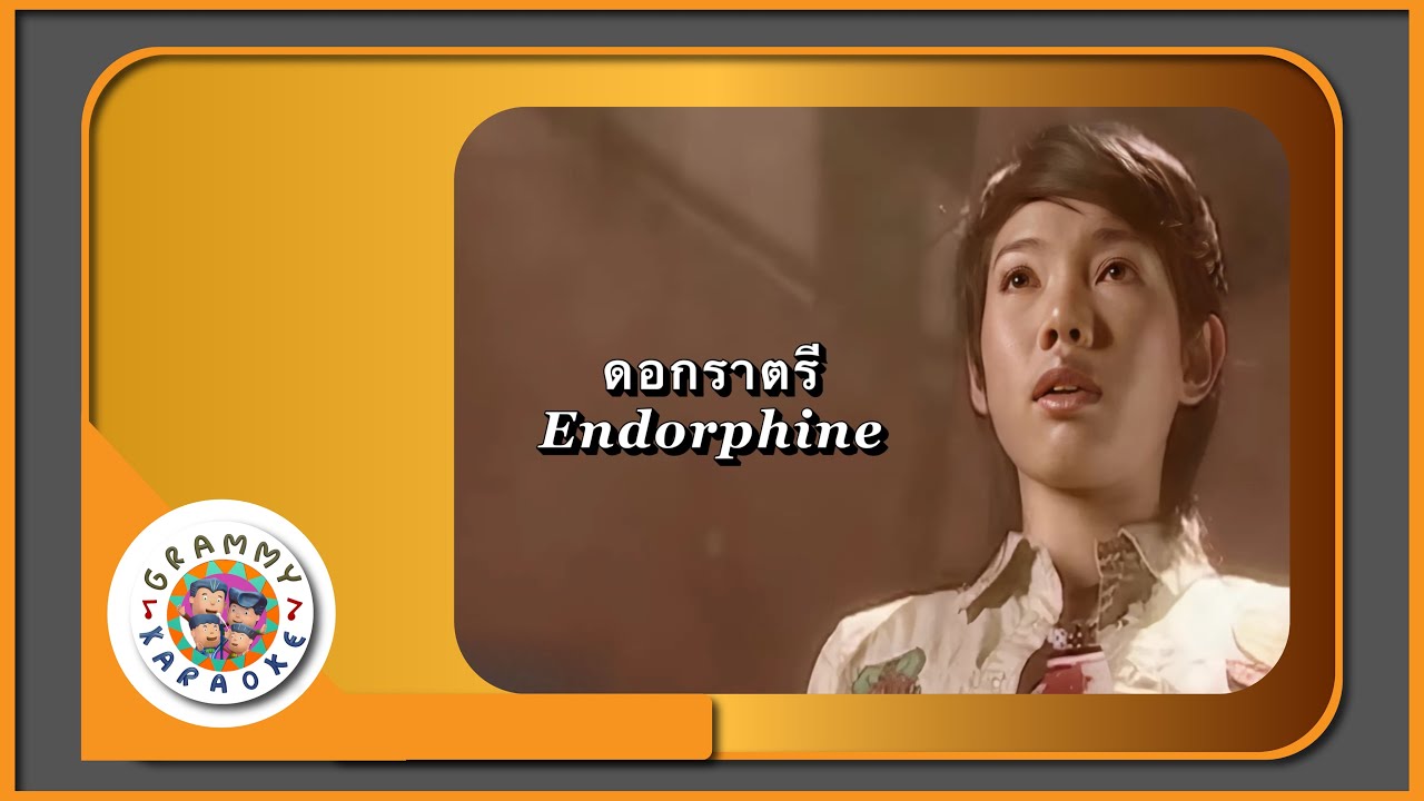 คาราโอเกะ ดอกราตรี - Endorphine
